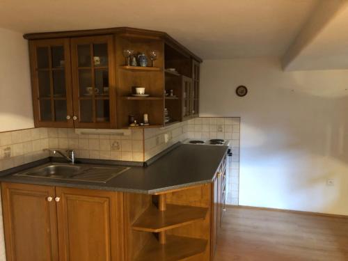 a kitchen with a sink and a counter top at Chaloupka u Jiřího in Nová Pec