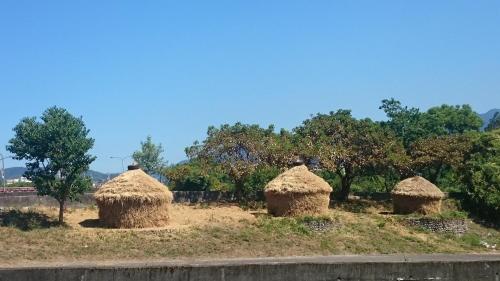 Un paisaje natural cerca de la habitación en casa particular