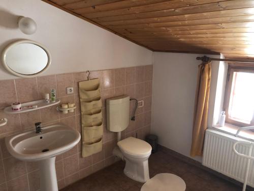 a bathroom with a toilet and a sink at Chaloupka u Jiřího in Nová Pec