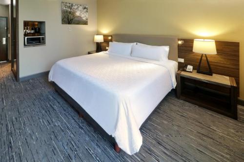 a large white bed in a hotel room at Holiday Inn Express & Suites Monterrey Valle by IHG in Monterrey