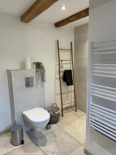 a bathroom with a white toilet and a ladder at Duplex au cœur de l’Alsace in Muttersholtz