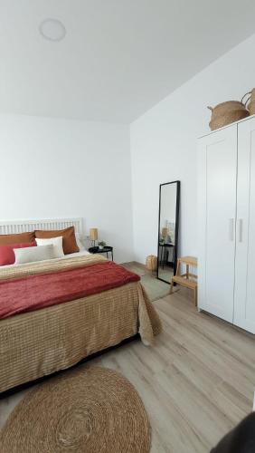 a bedroom with a large bed and a mirror at Apartament a Sant Celoni, Montseny, Barcelona in San Celoni
