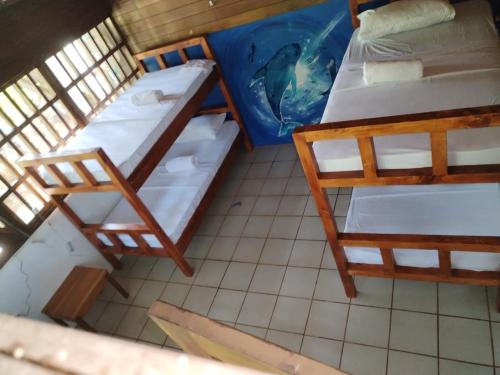 Katil dua tingkat atau katil-katil dua tingkat dalam bilik di Pirate Drake Beach Camp & Tour company