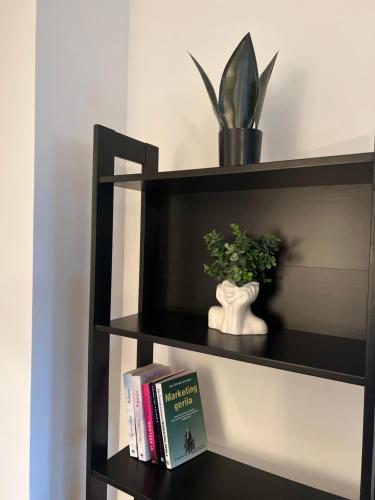 a book shelf with a plant and a book at Rita Apartment-FREE PARKING&WIFI in Zagreb