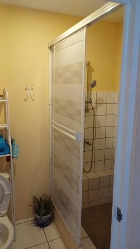 a shower with a glass door in a bathroom at Blue Lights Curaçao in Willemstad