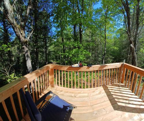 une terrasse en bois avec un banc et des arbres dans l'établissement Le petit Cottage du Grand Boisé, à Lac-Simon