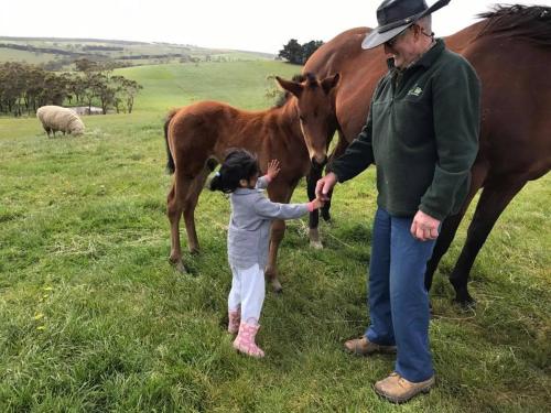 Φωτογραφία από το άλμπουμ του Bellevue Farmstay σε Scotts Creek