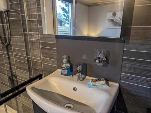 a bathroom with a sink and a mirror at The Lodge 