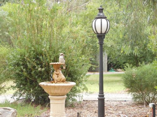 a bird sitting on top of a bird bath next to a street light at Grampians View Cottages and Units in Halls Gap