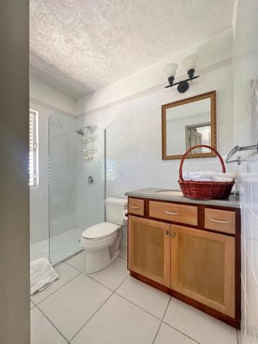 a bathroom with a toilet and a shower and a sink at Breathtaking View Villa in Saint Marks Village