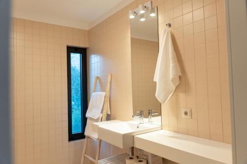 uma casa de banho com um lavatório e um espelho em Quinta da Ribeirinha - Douro River em Paços de Gaiolo