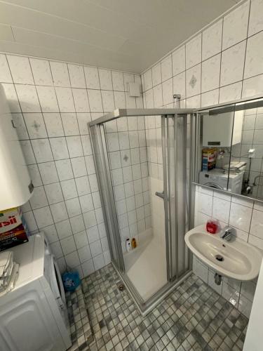 a bathroom with a shower and a sink at 1 Schlafzimmer Apartment in Euratsfeld
