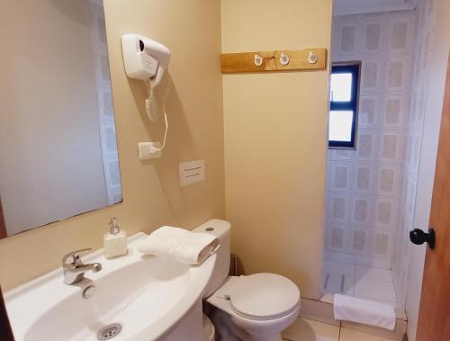 a bathroom with a toilet and a sink and a mirror at Cumbres Nevadas in Coihaique