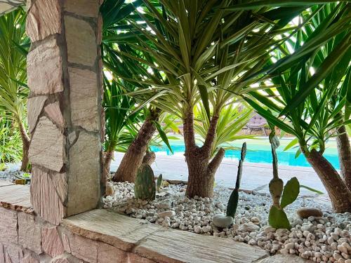 a garden with palm trees on a beach at Chambre (salle de bain privée), piscine, jardin, parking in Anglet