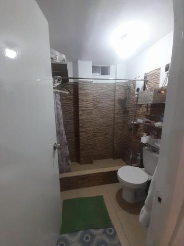 baño con ducha y aseo con alfombra verde en Colinas Apartaments La Molina, en La Molina