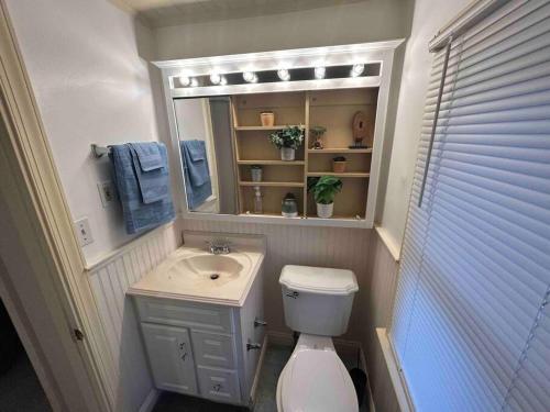een badkamer met een wastafel, een toilet en een spiegel bij Comfortable Two-bedroom home in Wilmington