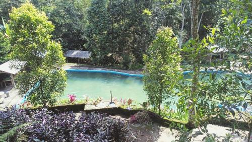an overhead view of a swimming pool in a garden at Lingkung Park Tetebatu in Tetebatu