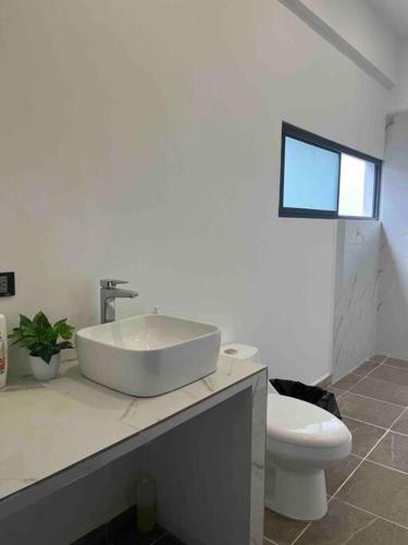 Fotografie z fotogalerie ubytování Casa Maya v destinaci Yautepec