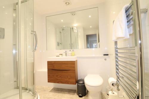 a bathroom with a shower and a toilet and a sink at Garland Lovely Apartment, St John's Wood in London
