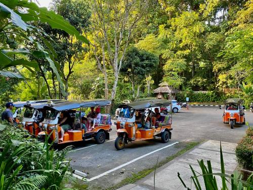 Hosté ubytování Fern Resort Mae Hong Son