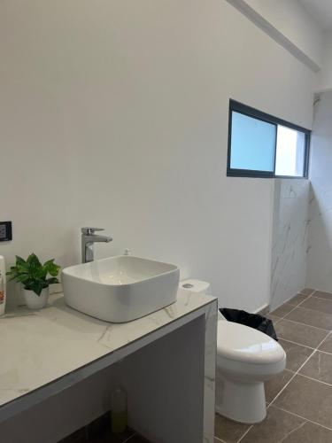 Fotografie z fotogalerie ubytování Casa Maya v destinaci Yautepec