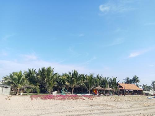 a beach with palm trees and a resort at Biển Ngọc Homstay in Ấp Sung Xuân