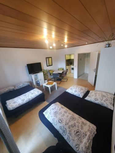 - un salon avec trois lits et un canapé dans l'établissement Einzimmerwohnungmit großem Balkon, à Mietersheim