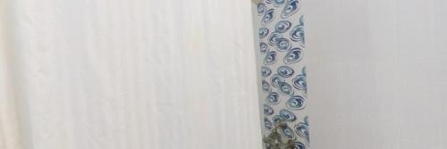 un jarrón azul y blanco en una pared en Hotel Mani Ram Palace Agra, en Agra