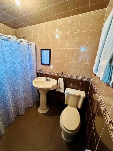 a bathroom with a toilet and a sink at Hotel Monarca Tlalpujahua in Tlalpujahua de Rayón
