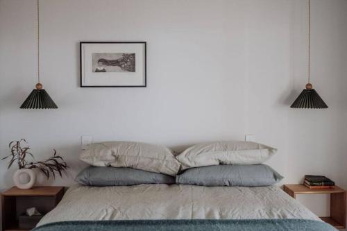 Dennes Point的住宿－Looking for La Pèrouse - coastal retreat on Bruny，一间卧室配有带3个枕头的床