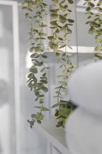 a plant sitting on top of a white shelf at Discover The Rocks - Historical Terrace House in Sydney