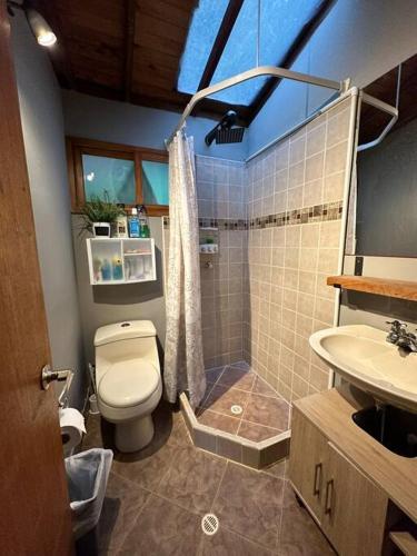 a bathroom with a toilet and a shower and a sink at Cabaña sendero verde in Envigado