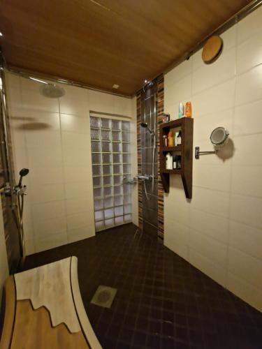 ein Bad mit einer Dusche und einer ebenerdigen Dusche in der Unterkunft Saunamaailman Kivari 1 ja 2 