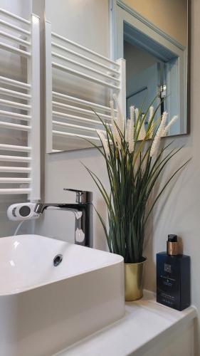 a bathroom with a sink and a mirror and a plant at House of Moitelas in Moitelas