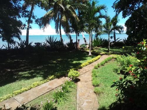 a path to the beach with palm trees and the ocean at Villa Colibri in Nosy Be