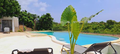 a swimming pool with two chairs and a palm tree at Cave Diani Holiday Apartments in Diani Beach
