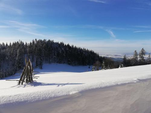 a snow covered slope with trees in the background at domek w zaczarowanym lesie in Istebna