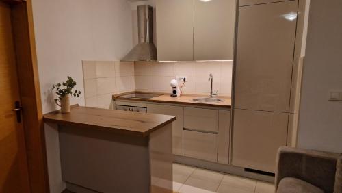 a small kitchen with a sink and a counter at Princess in Brodarica