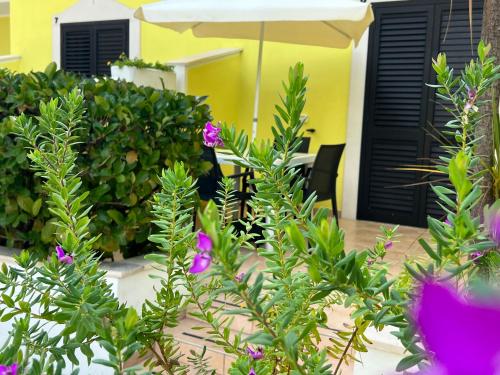 Φωτογραφία από το άλμπουμ του Argeste Club Vacanze στο Βιέστε