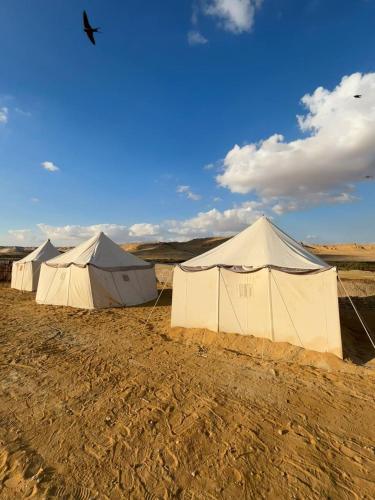 a row of tents in the middle of a field at flamingo camp in Dār as Salām