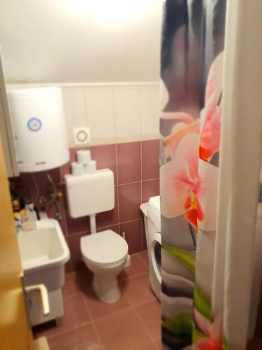 bagno con servizi igienici e lavandino di Apartman Magdalena a Knin (Tenin)