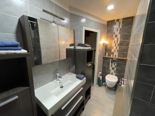 une salle de bain avec un lavabo et des toilettes dans l'établissement Escapade Moretaine - L'Echappée au charme d'antan, à Moret-sur-Loing