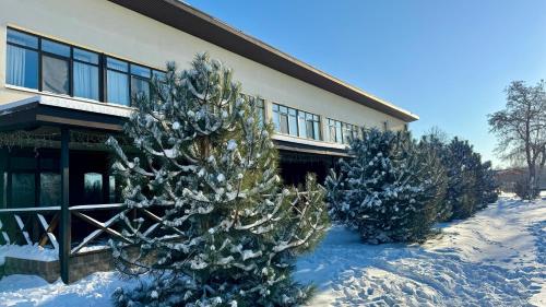a group of trees in the snow in front of a building at База відпочинку "РіверСайд" in Novomoskovsʼk
