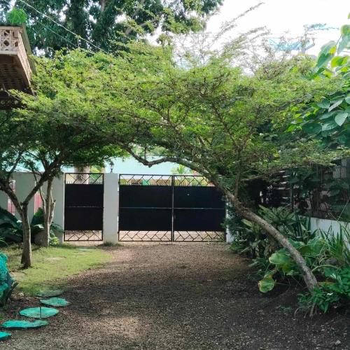 Zahrada ubytování Mannah Garden Staycation House - Panglao, Bohol