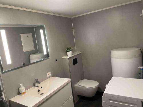 a bathroom with a toilet and a sink and a mirror at Moderne leilighet i Alta in Alta
