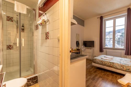 baño con ducha y cama en Résidence du Parc appartement calme, en Châtel-Guyon