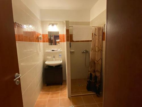 a small bathroom with a sink and a shower at Ligetalja Termál Hotel in Penészlek