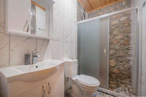 a bathroom with a toilet and a sink and a shower at Villa Ahenk / Faralya in Fethiye