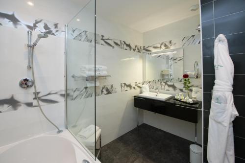 a bathroom with a shower and a sink at Auberge de Cassagne & Spa in Le Pontet