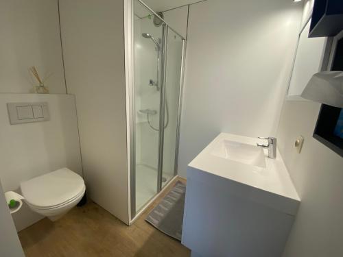 a bathroom with a shower and a toilet and a sink at CHAMBRES PERCHEES in Waimes